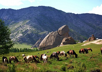 Acquaintance with the modern capital of Mongolia and visiting the valley of the Dinosaurs