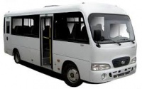 Transfer by minibus